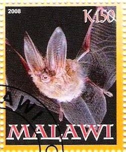 Stamp, Bat, Cinderellas,  , Bats