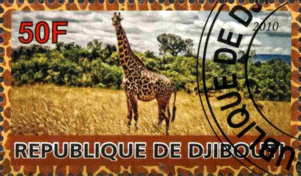 Giraffe