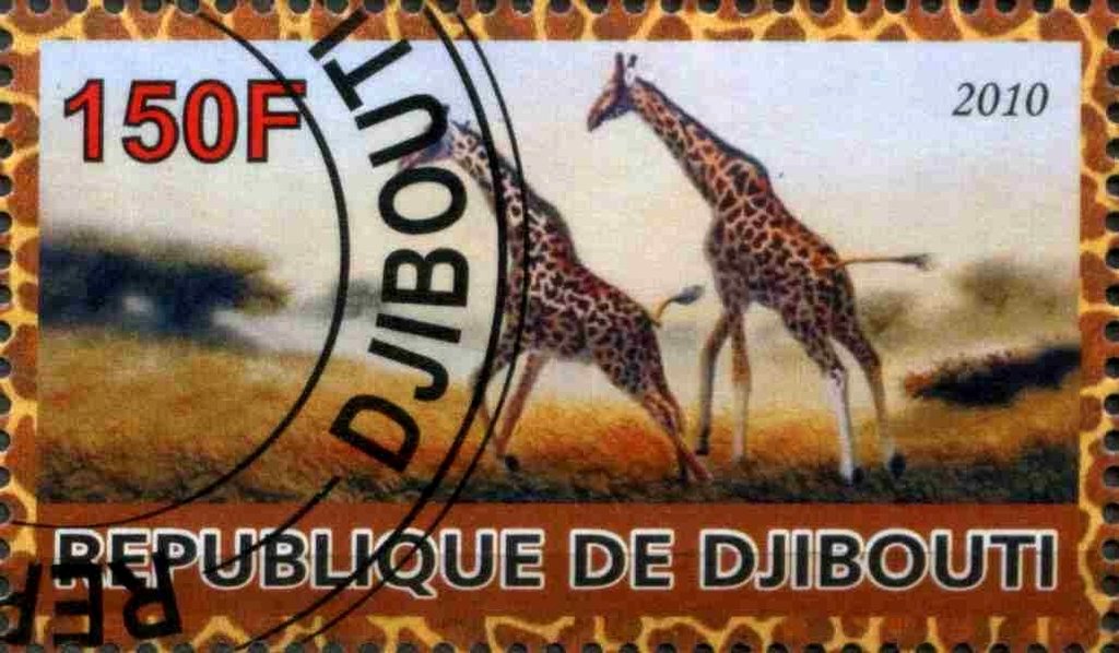 Giraffe