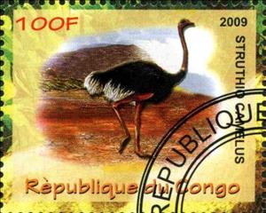 Stamp, Struthio camelus, Cinderellas,  