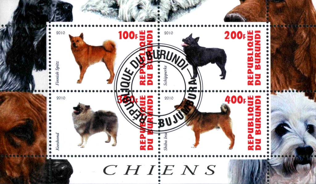 Chiens