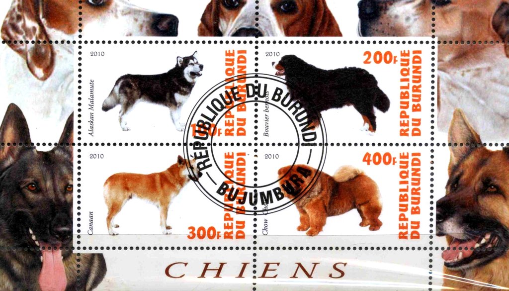 Chiens