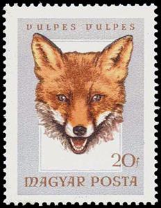 Stamp, Red Fox (Vulpes vulpes), Hungary,  , Mammals, Foxes, Hunting, Animals (Fauna)