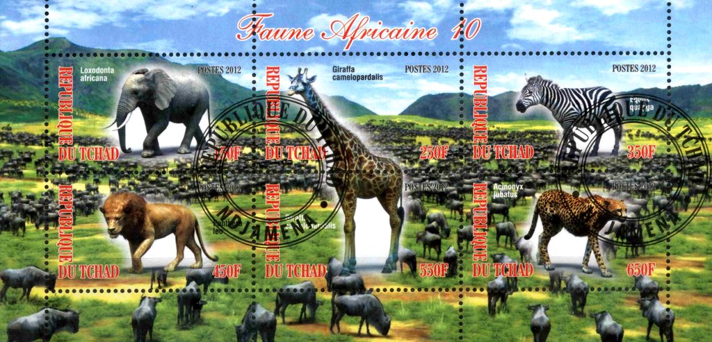 Faune Africaine 10