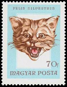 Stamp, Wildcat (Felis silvestris), Hungary,  , Mammals, Cats, Hunting, Animals (Fauna), Cats of Prey