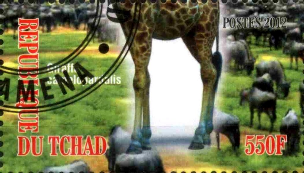 Giraffa camelopardalis