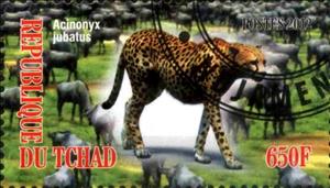 Stamp, Acinonyx jubatus, Cinderellas,  