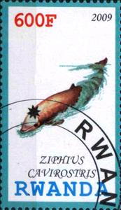 Stamp, Ziphius Cavirostris, Cinderellas,  