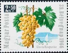 39th Stamp Day - Grape and lake Balaton