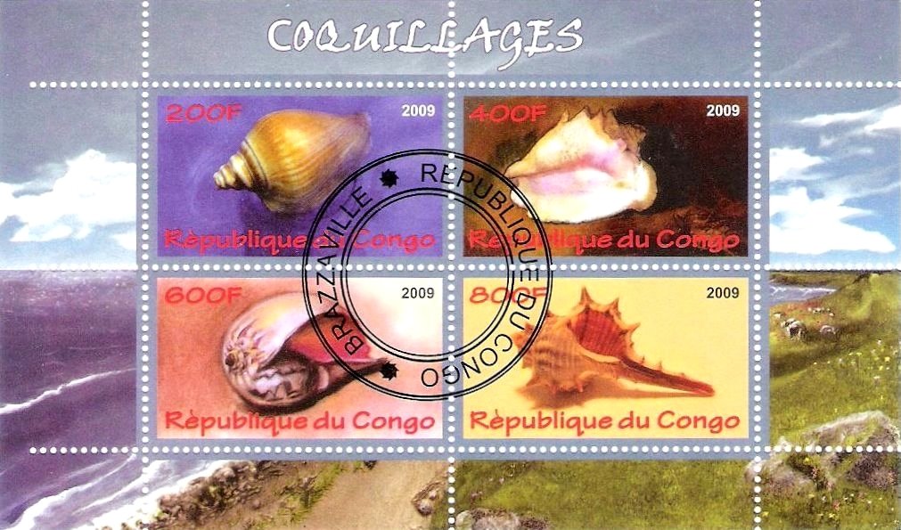Coquillages