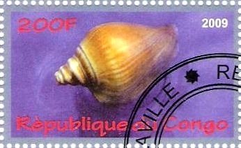 Coquillages