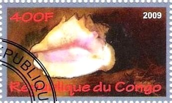 Coquillages