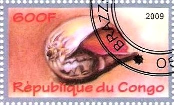 Coquillages