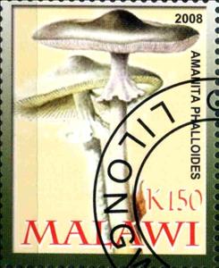 Stamp, Amanita Phalloides, Cinderellas,  , Mushrooms