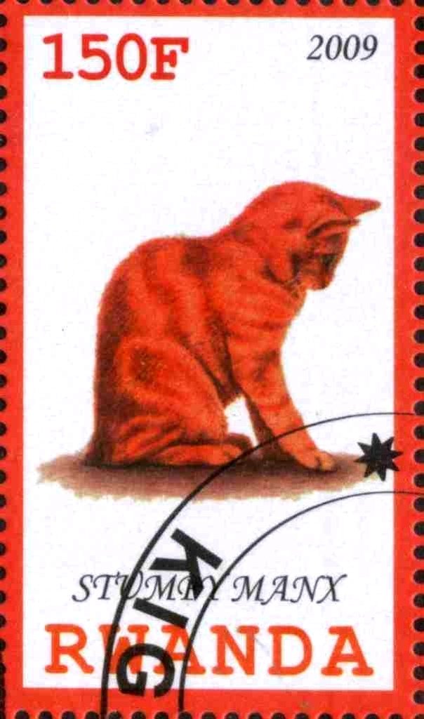 Stumpy Manx