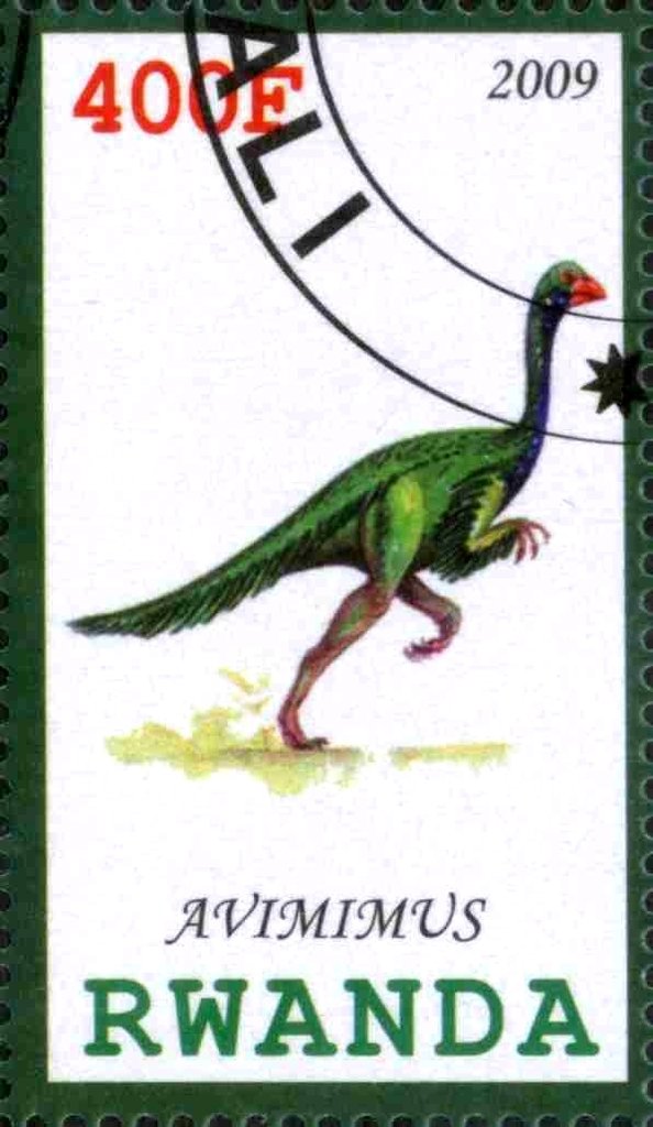 Avimimus