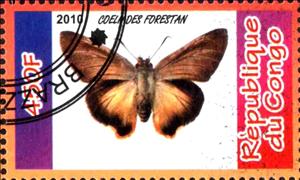 Stamp, Coelades Forestan, Cinderellas,  , Butterflies