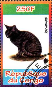 Stamp, Cornish Rex, Cinderellas,  , Cats