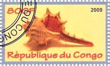 Coquillages
