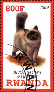 Stamp, Blue Point Birman, Cinderellas,  , Cats