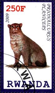 Stamp, Prionailurus Planiceps, Cinderellas,  , Cats