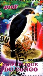 Stamp, Leucopternis Semiplumbeus, Cinderellas,  , Birds
