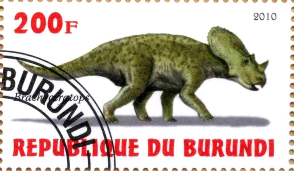 Brachtceratops