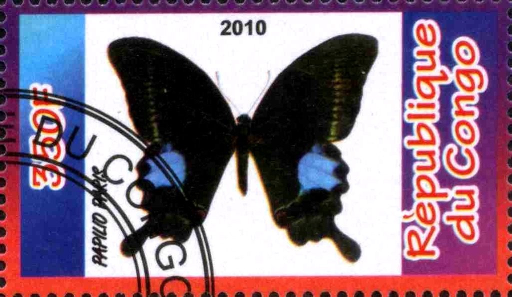 Papilio Paris