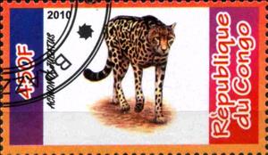 Stamp, Acinonyx Jubatus, Cinderellas,  , Animals (Fauna), Cats