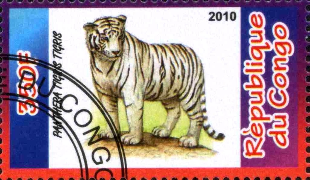 Panthera Tigris Tigris