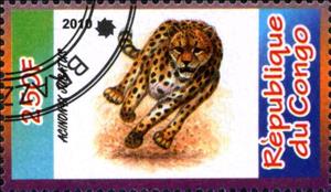 Stamp, Acinonyx Jubatus, Cinderellas,  , Animals (Fauna), Cats