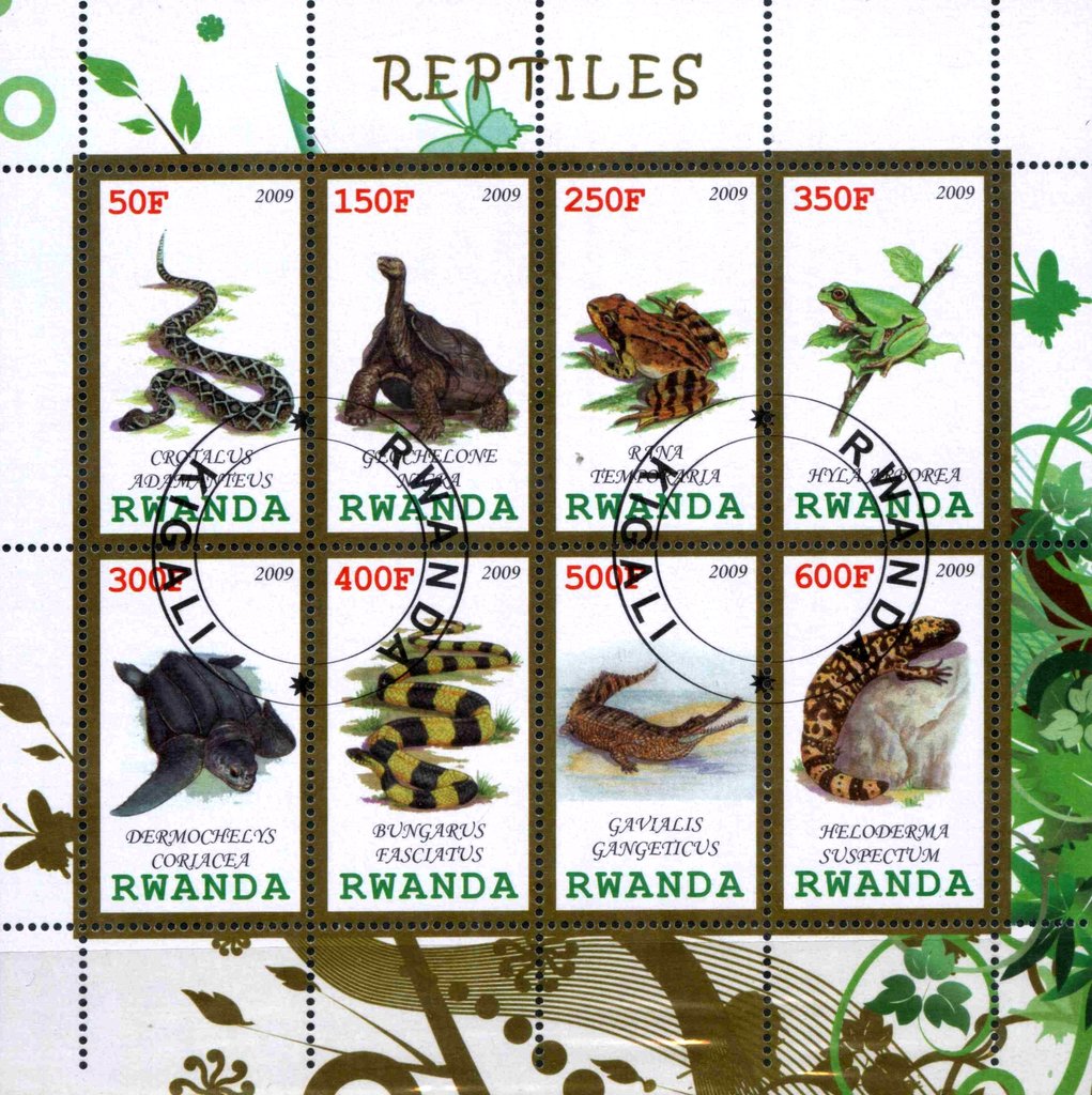 Reptiles