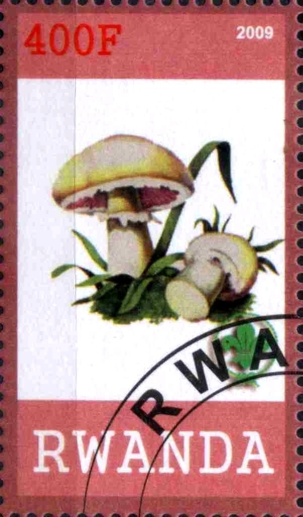 Mushrooms