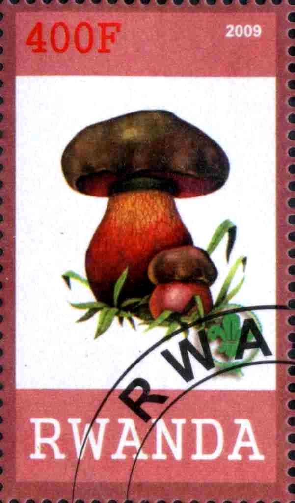 Mushrooms