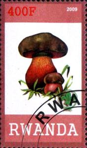 Stamp, Mushrooms, Cinderellas,  , Mushrooms