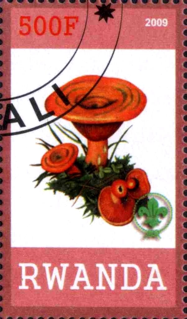 Mushrooms