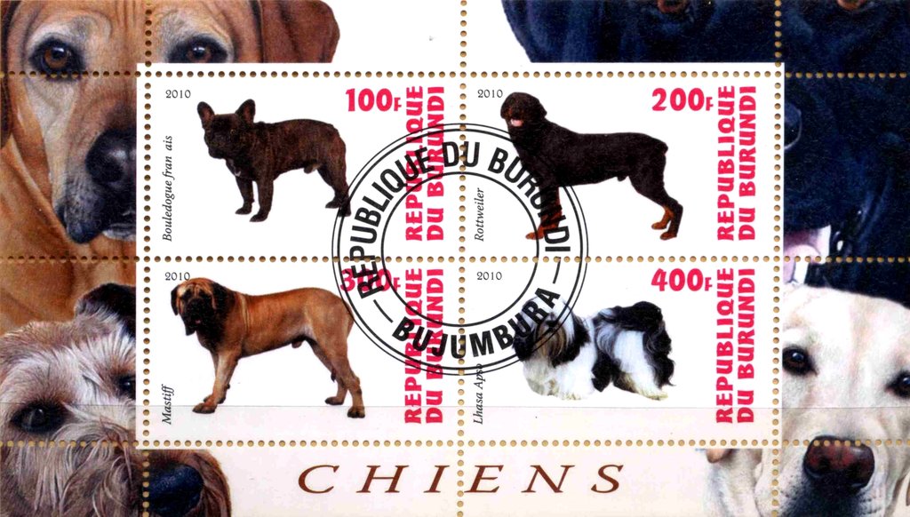 Chiens