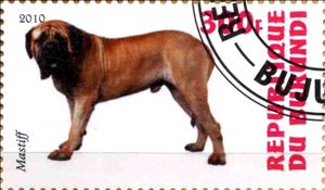 Stamp, Mastiff, Cinderellas,  , Dogs