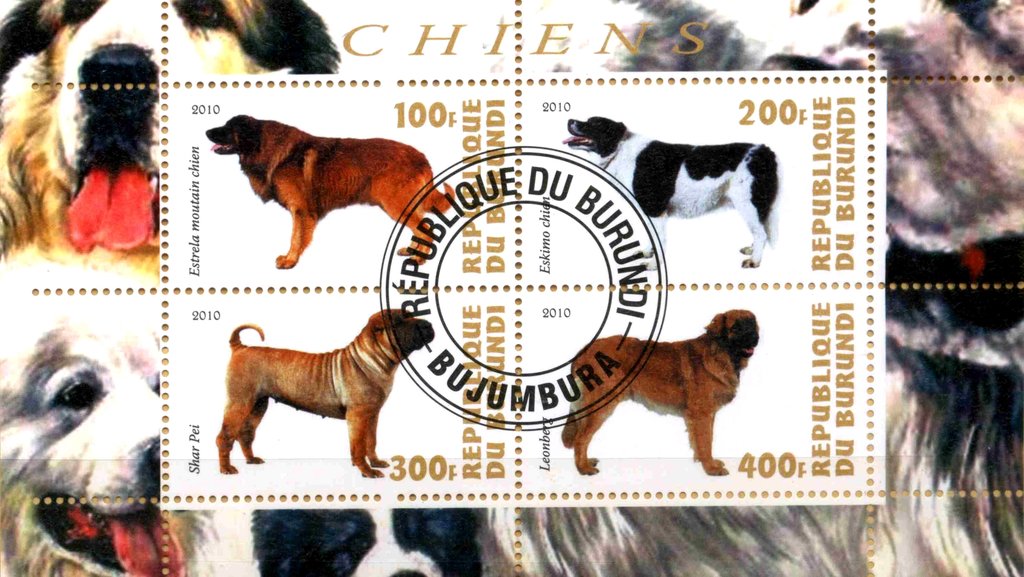 Chiens