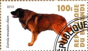 Stamp, Estrela moutain chien, Cinderellas,  , Dogs