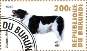 Stamp, Eskimo chien, Cinderellas,  , Dogs