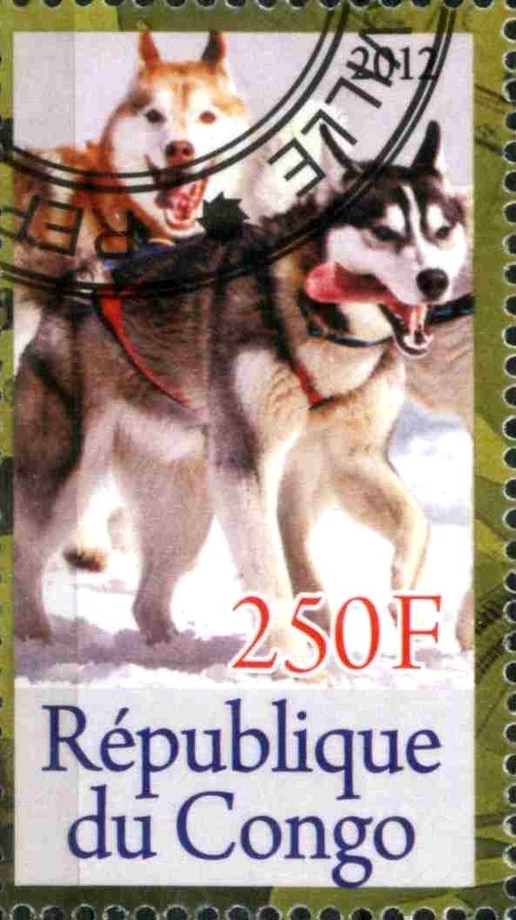 140e Anniversaire de la Naissance de Roald Amundsen (1872-1…
