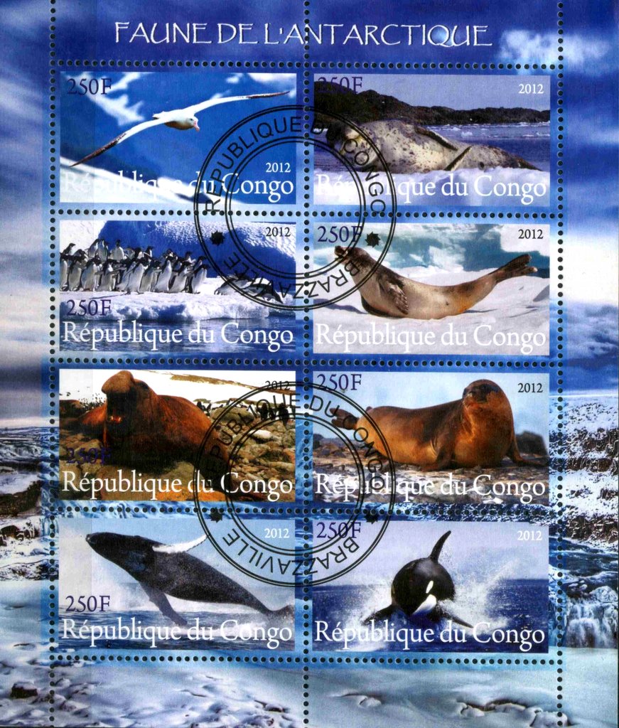 Faune de L'Antarctique