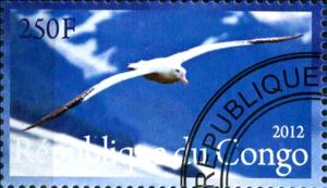 Stamp, Faune de L'Antarctique, Cinderellas,  