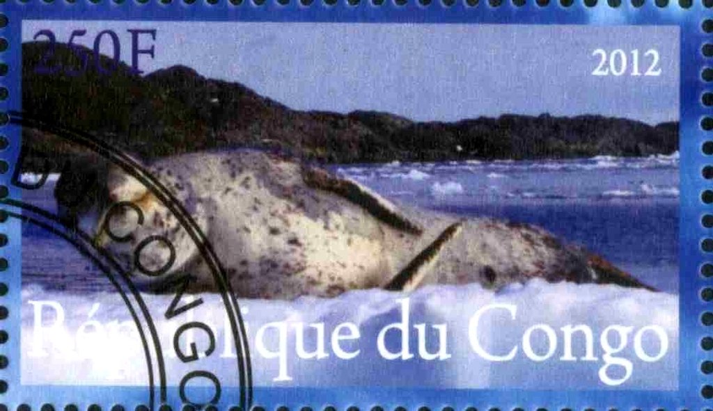 Faune de L'Antarctique