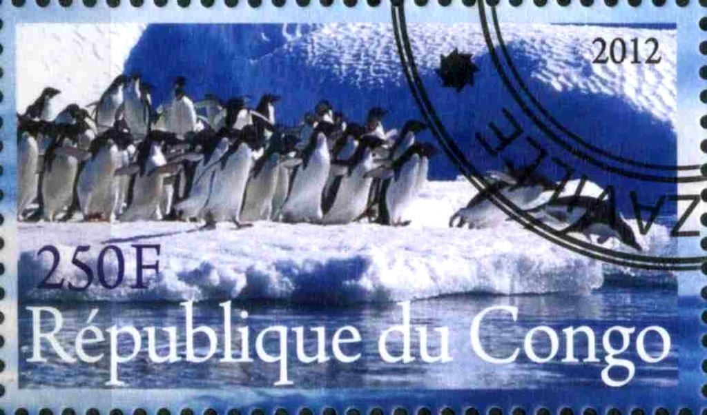 Faune de L'Antarctique