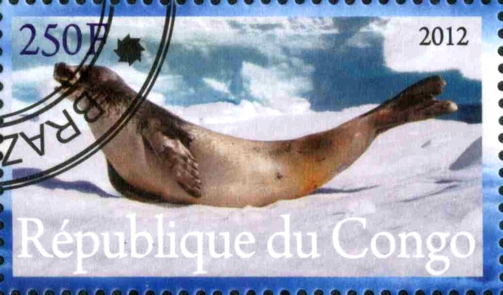 Faune de L'Antarctique