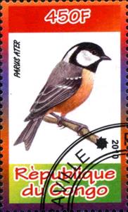 Stamp, Parus Ater, Cinderellas,  , Animals (Fauna), Birds