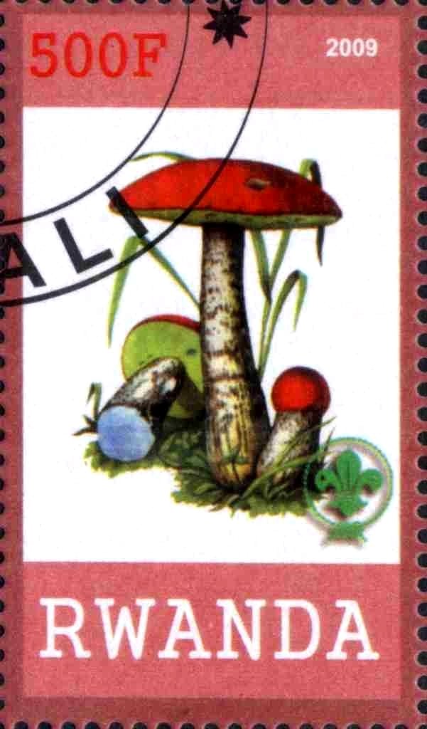 Mushrooms