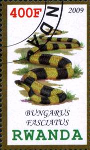 Stamp, Bungarus Fasciatus, Cinderellas,  